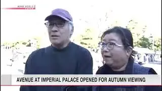 Tokyo Palace grounds opened to the public