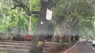 RAJPUR ROAD DEHRADUN|