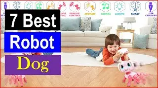 Top 7 Best Robot Dogs in 2025 | Best Robot Dogs - Reviewed