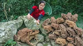 Harvesting Many Frogs under Stones, Chickens and Eggs in the Forest - Bring them to market sell