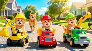 Mama Cat Trims Fur on the Farm and Makes Tiger Hat For Kittens At Home🐾🎩🐯