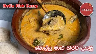බෝල්ලු මාළු කිරට උයමු | Bolla Malu Curry | Sri Lankan Fish Curry Ape MS Kitchen