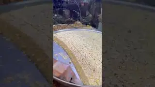 Gujranwala Ki Famous Barfi 😍 | Gujranwala Street Food | Pakistan