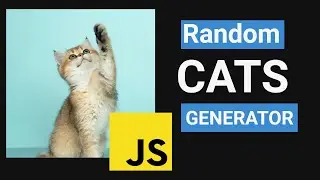 Создание генератора случайных изображений кошек с помощью HTML, CSS и JavaScript | #huxnwebdev