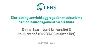 LENS Webinar #9 | Elucidating amyloid aggregation mechanisms behind neurodegenerative diseases