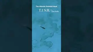 TUSH (The Ultimate Swimbait Hook) NEW Weighted Hook Design MADE IN THE USA! in a hollow belly shad