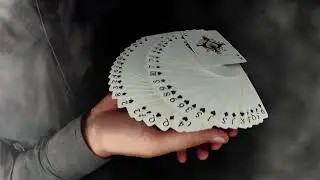 Insane cardistry by one of the GOAT Predator