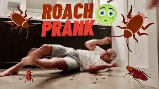 HILARIOUS COCKROACH PRANK ON BOYFRIEND!!