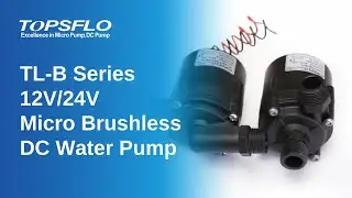 TOPSFLO 12V or 24V Micro Brushless DC Water Pump