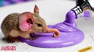 ASMR Satisfying Paint Tube Squeezing Animals | Oddly Satisfying Relaxing Video |