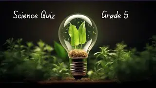5th Grade Science Quiz: Fun Challenges for Young Learners!