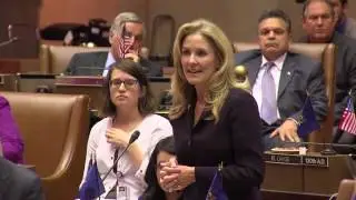 Assemblyman Steve Katz Acknowledged by Assemblywoman Jane Corwin 6-16-16