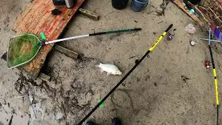 Когда подходит рыба