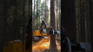 Wait&hellip;😳 This Forestry Excavator Cuts Trees Like A Pro #logging #forestry #excavator
