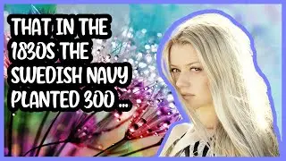 342  THAT IN THE 1830S THE SWEDISH NAVY PLANTED 300 000 OAK TREES