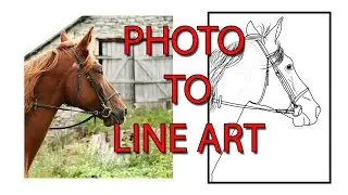 PHOTO TO LINE ART (HORSE)