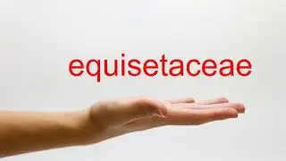 How to Pronounce equisetaceae - American English