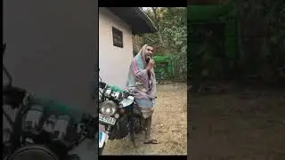හොනට් එකකින් ගතහැකි ප්&zwj;රයෝජන 😂 #hornet #comedy