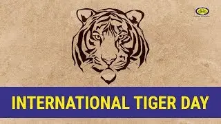 International Tiger Day