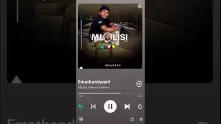 Mjolisi ft Naledi Aphiwe🔥 #maskandi #music #new #trending