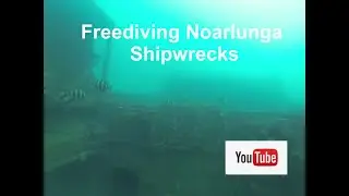 Freediving Noarlunga Shipwrecks