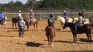 Feeling and Controling the Horse's Feet by Dauphin Horsemanship,