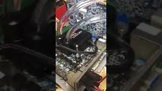 Eisbaer LT solo paired with 3600rpm DC pump