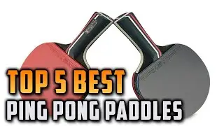 Top 5 Best Ping Pong Paddles On Aliexpress