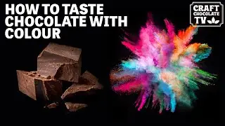 Дегустация цветного шоколада | Выпуск 83 | Craft Chocolate TV