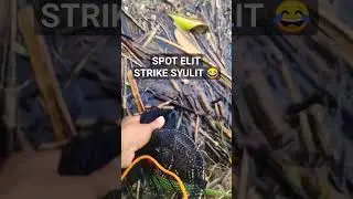 #mancing #mancingmelem #mancingsungai #shortvideo #shorts #short