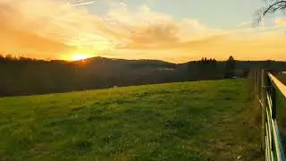 Hosanna Son of David! | Piano SATB Harmony with Lyrics