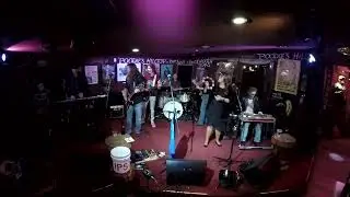 Shandon Sahm @ Poodies - Mendocino