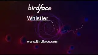 Birdface - Whistler