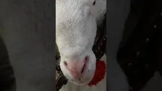 Part  9  