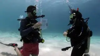 Underwater Proposal - Couple Gets Engaged During Dive - Utila Dive Center