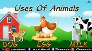 Uses Of Animals