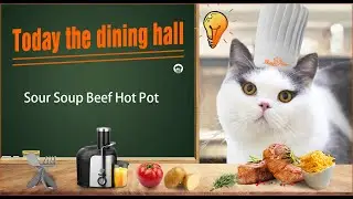 Famous Cat Chef For Cooking Sour Soup Beef Hot Pot - Taste Delicious