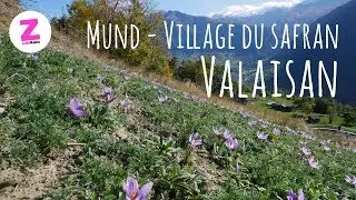 MUND  -  LE VILLAGE DU SAFRAN  - VALAIS - SUISSE