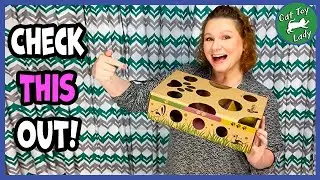CatAmazing Classic Puzzle Toy Review