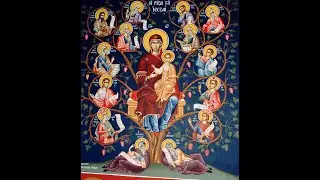 26/12/25 Μεσονυκτικό, Όρθρος, Θεία Λειτουργία / Σύναξη της Υπεραγίας Θεοτόκου