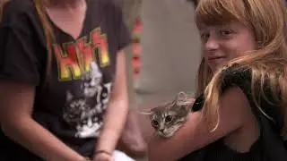 PETstock Assist Grant Program - Second Chance Animal Rescue