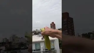 Космический злодей про CABA (Buenos Aires) и San Telmo