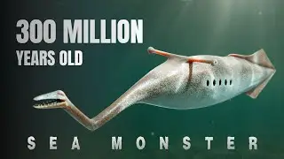 The Strangest Extinct Animal Ever Found ( Looks Impossible) | Illinois&rsquo; Weirdest Fossil