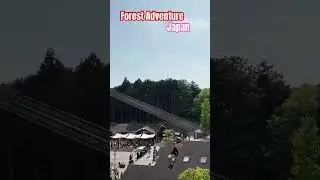 Fun place in japan#visit Japan