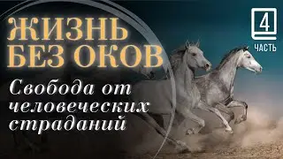 Часть 4  
