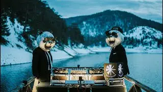 Suit and Panda 𒀭 Hitit Venture Interview