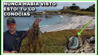 AVENTURA 506 ESTO PARA MÍ ES EXTRAÑO NUNCA LO HABÍA VISTO (QUE SERÁ!!)