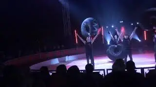 Weihnachtszirkus Wiesbaden