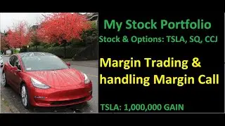 My Stock & Option Investment Trading Portfolio: Margin Call
