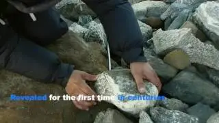 Iron Age Arrow recovered from melting ice patch